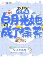 快穿成了白月光的