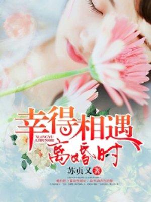 幸得相遇离婚时短剧完整版